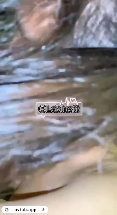 Dedek ABG Cewek Tocil Suka Otong Panjang
